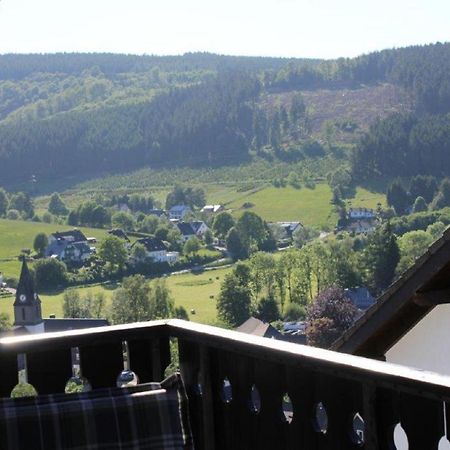 Ferienwohnung Frieda Mit Ueberdachtem Balkon Winterberg Exteriér fotografie