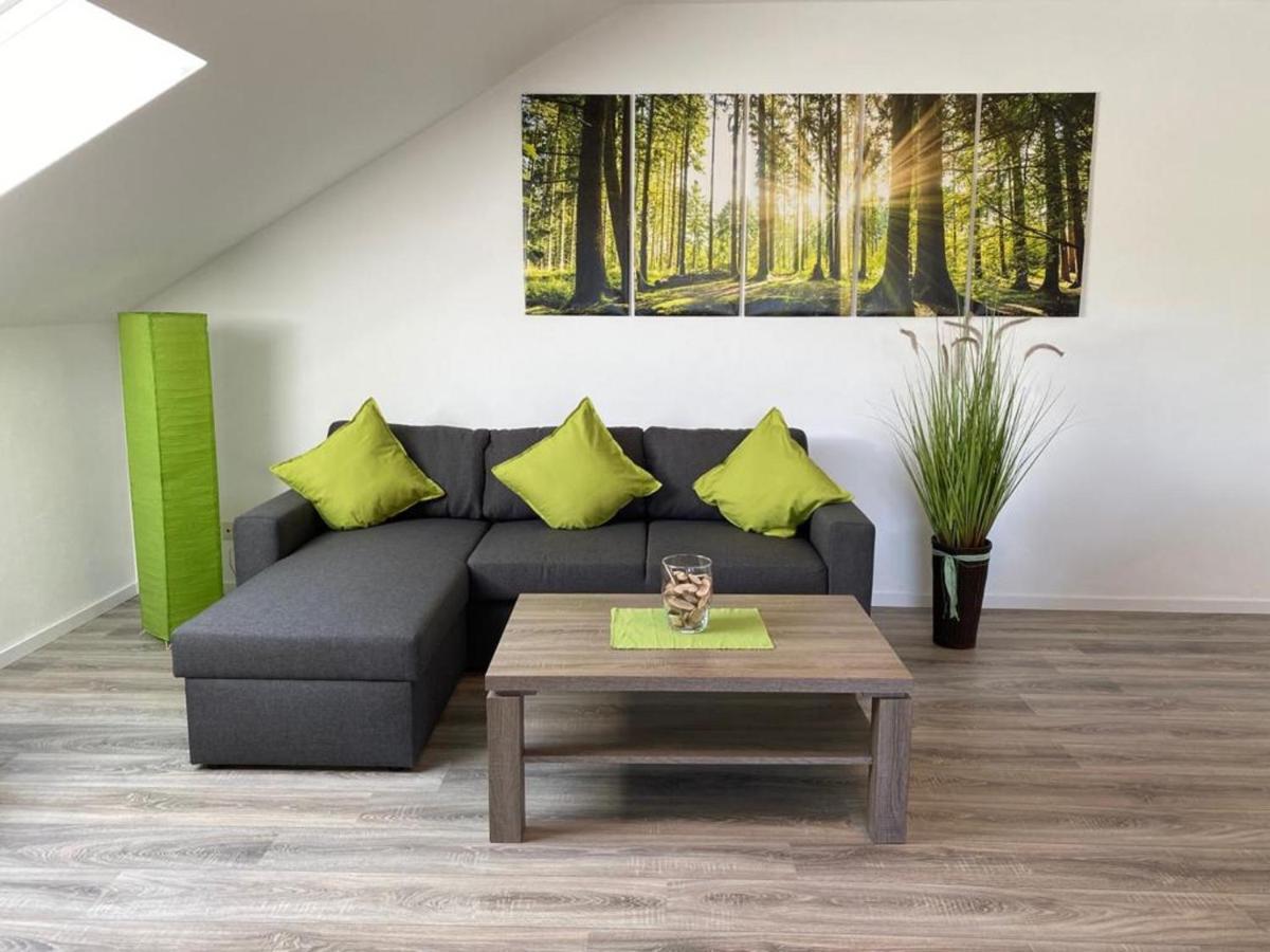 Ferienwohnung Frieda Mit Ueberdachtem Balkon Winterberg Exteriér fotografie